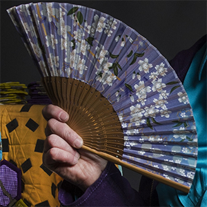 umbrella