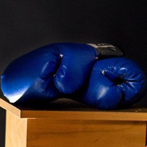 Boxing gloves