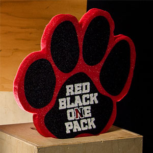 Foam paw